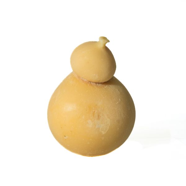 caciocavallo