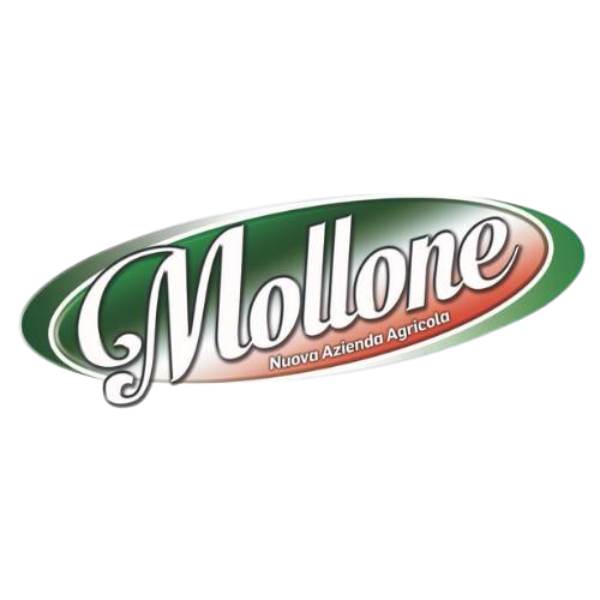logo mollone